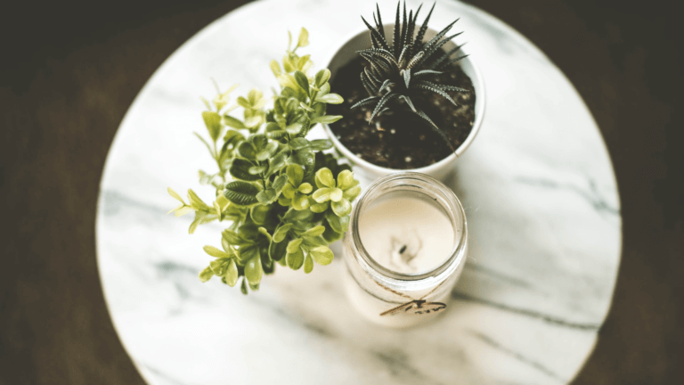 Candle places on table with plant pot and succulent