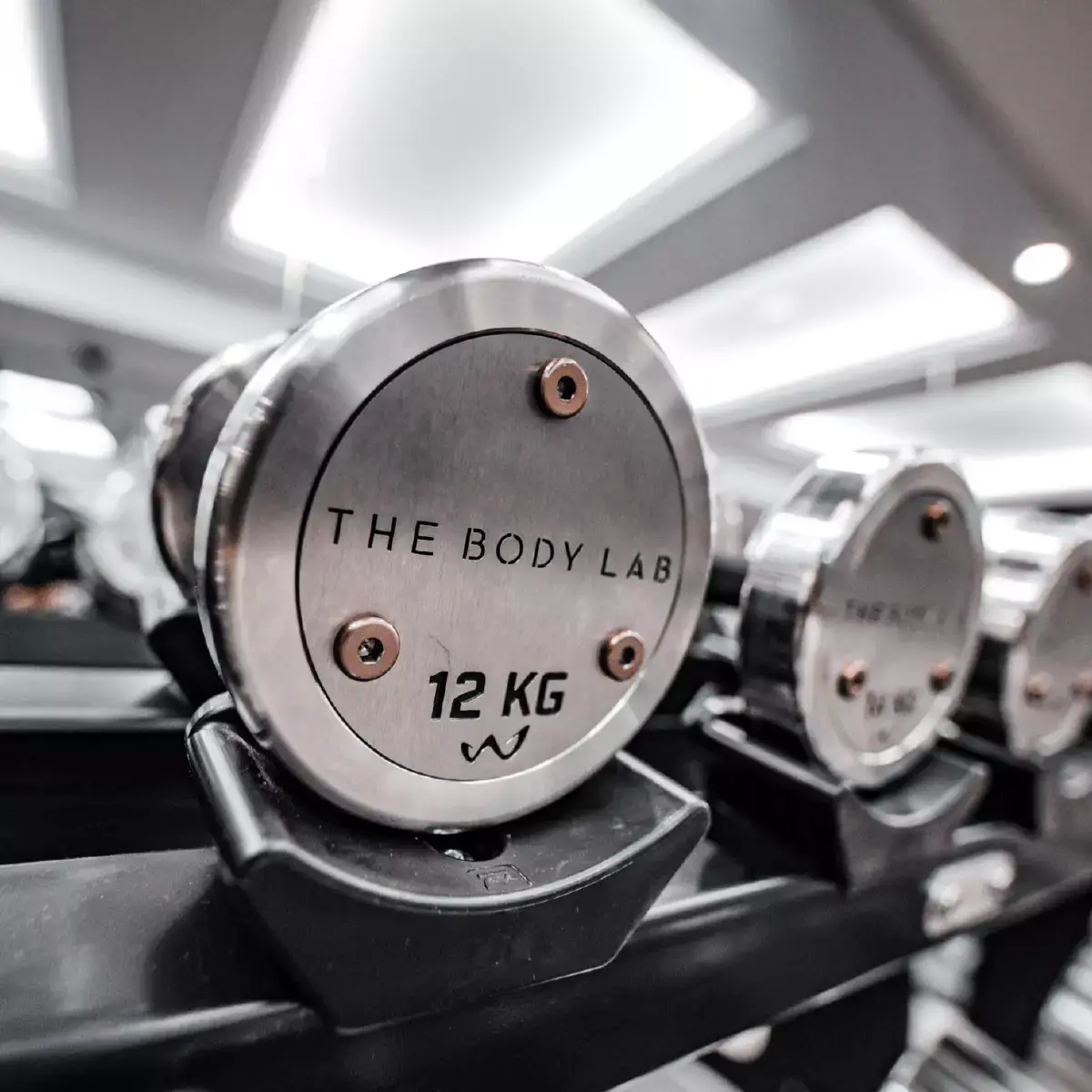 The Body Lab Gym